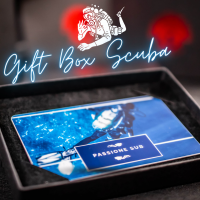 Gift Card 500€-GIFT BOX SUBACQUEA
